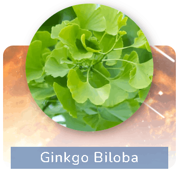 Pineal Guardian Ingredients 