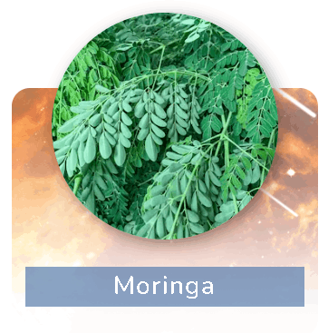Pineal Guardian Ingredients 