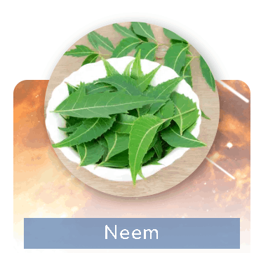 Pineal Guardian Ingredients 