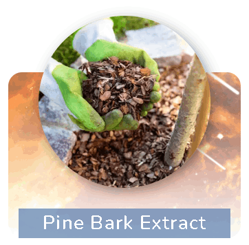 Pineal Guardian Ingredients 
