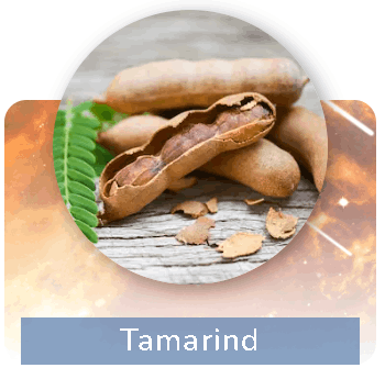 Pineal Guardian Ingredients 